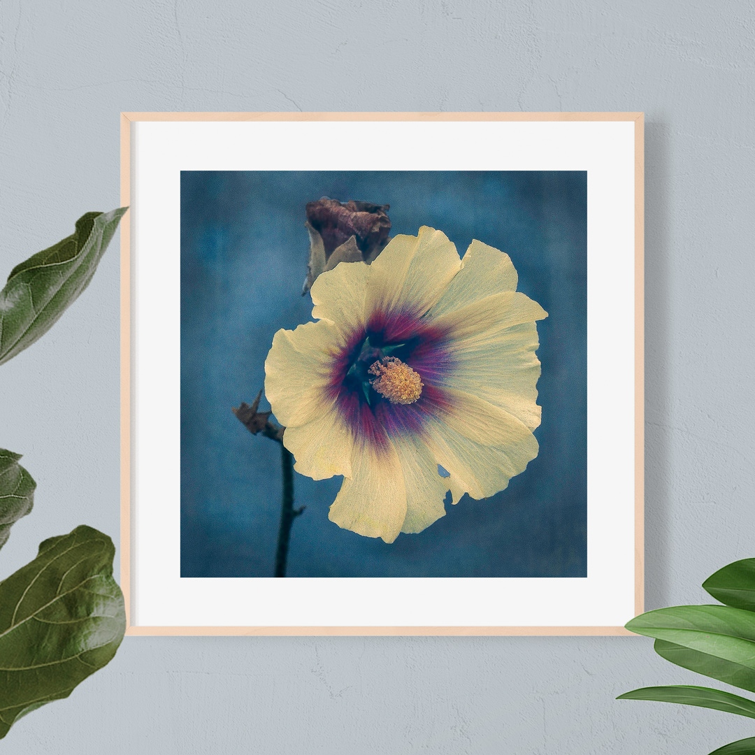 3030print tweet media