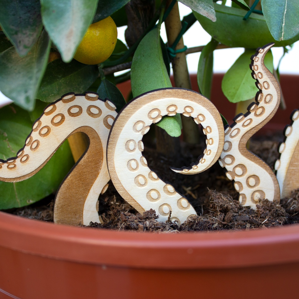 rockhopperlabs's tweet image. It's alive! Creepy little decorations for your plant pots 🐙

#plantpotdecor #gardendecorations #gardendesign #releasethekraken #kraken #seamonster #gardendecor