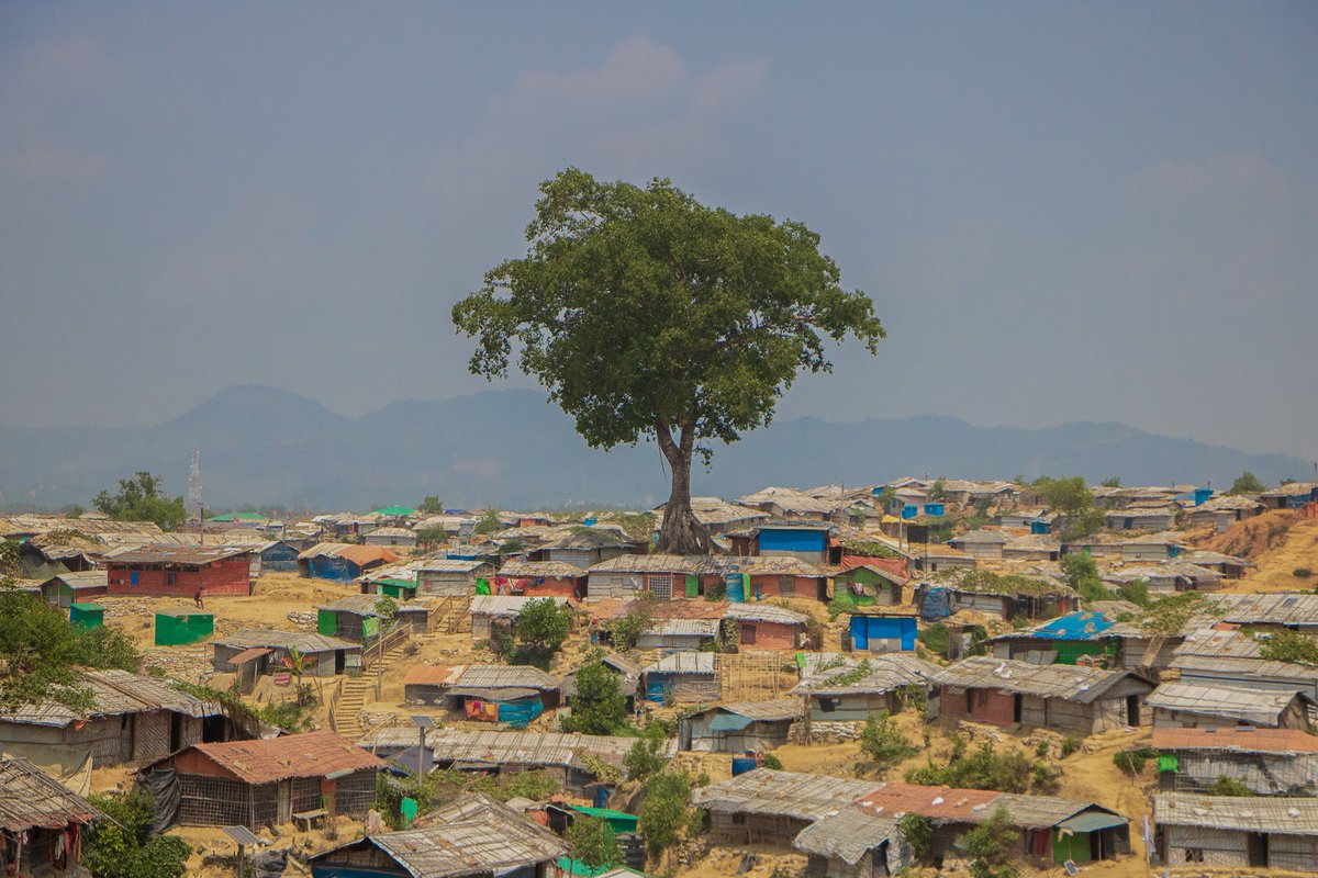 August 25 marks 4 years since the start of the #Rohingya refugee crisis.

Between August and December 2017, hundreds of thousands of people fled horrific violence in Myanmar, and found safety in Bangladesh.

#RohingyaCrisis #4YearsOn
