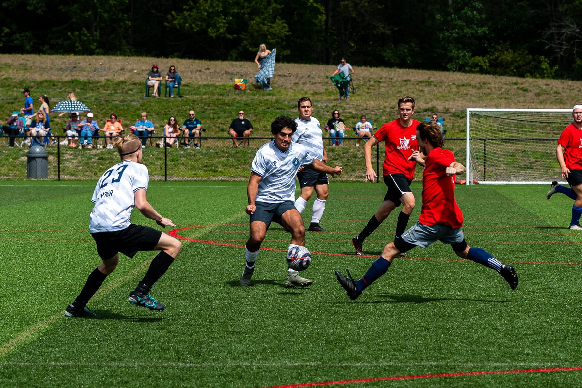 Buffalo Cosmos tweet media