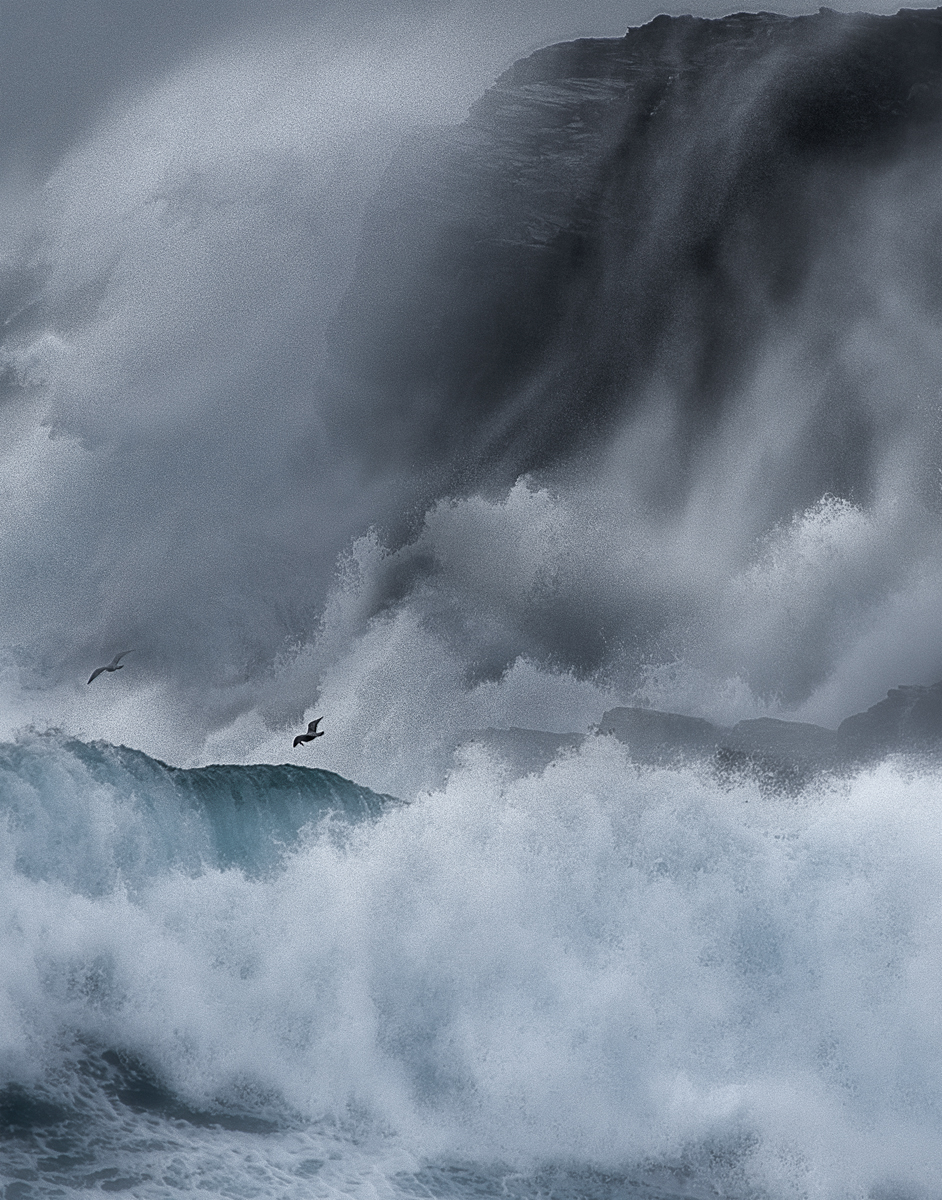 Mark Dobson | Wild Seascapes tweet media