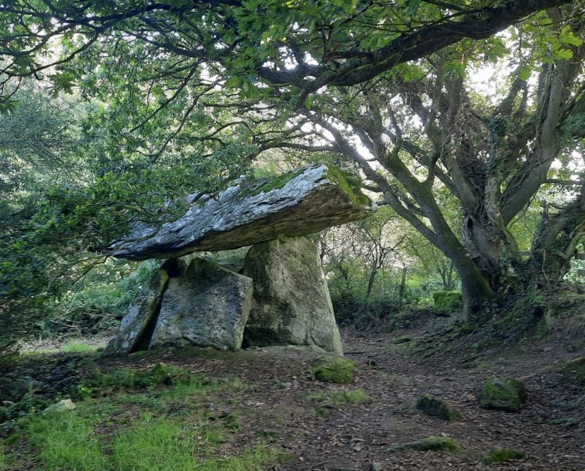 Gaulstown portal tomb, Co. Waterford, estimated to date from 3500BC