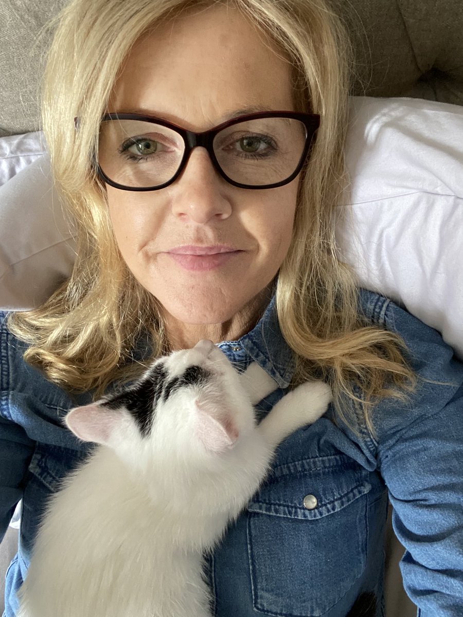 sinead_moriarty's tweet photo. She sleeps on me while I’m reading. They say get an animal when your kids are teens coz at least someone will show you affection… they were right! #kittensrock https://t.co/Hzbi1Aj5vX