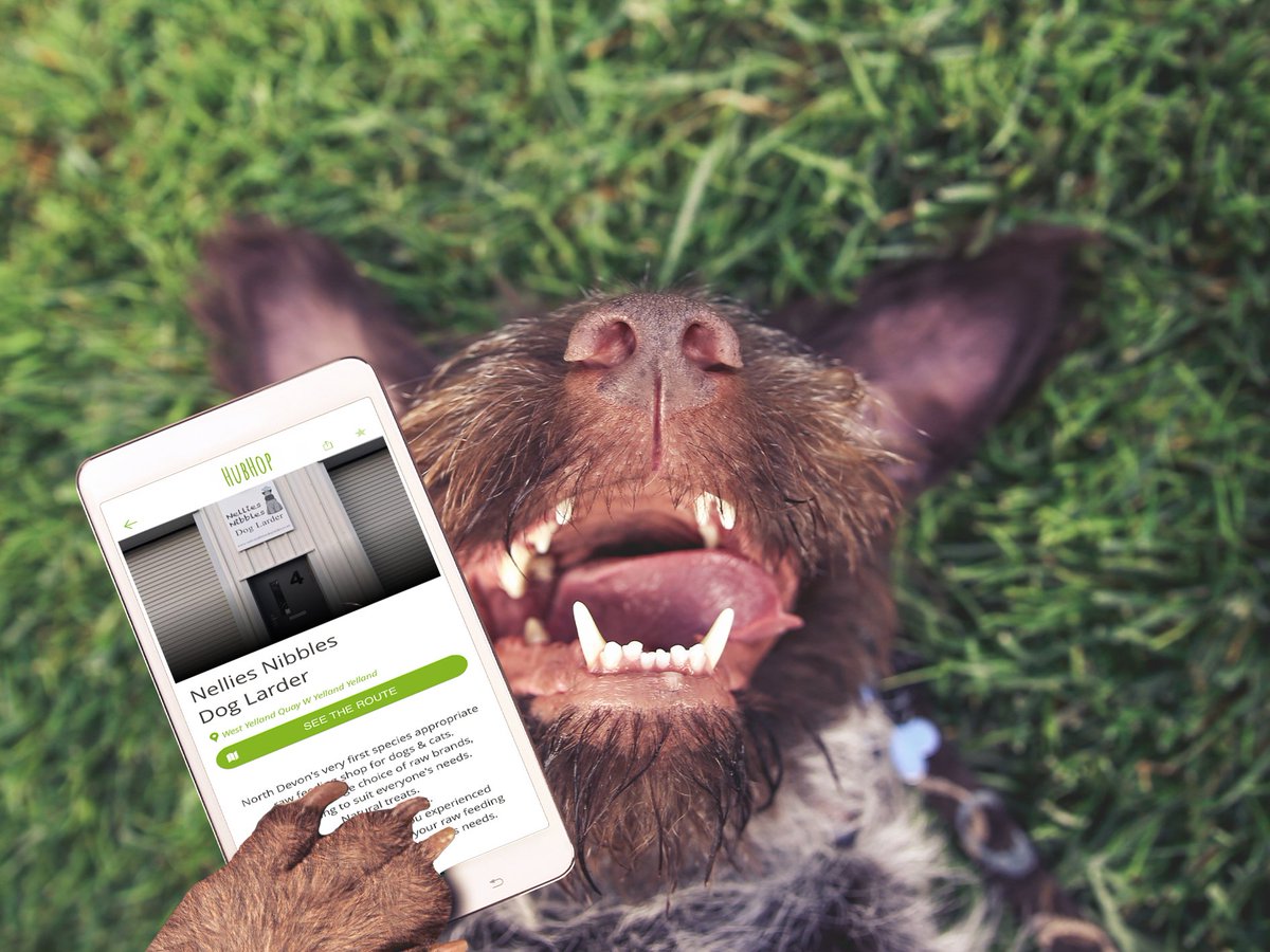 HubHopApp's tweet photo. Welcome to HubHop Nellies Nibbles 🐶

"North Devon's first species appropriate raw feeding shop for dogs &amp; cats.We stock a large choice of brands. Natural treats, Holistic products. We're proud to offer you experienced guidance &amp; support"

Shop Local - Earn Points - Win Prizes 🐸 https://t.co/AJacd1CDQT