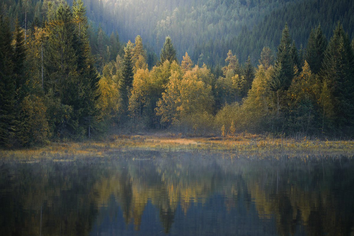 September mood. Trondheim, Norway. 2018.