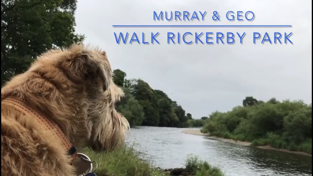weareMZY's tweet photo. 🚨 NEW VIDEO 👇

Murray and Geo walk Rickerby Park
https://t.co/iV7t2Gaxl0

#RickerbyPark #Carlisle #Cumbria https://t.co/uBhnKjaB8B