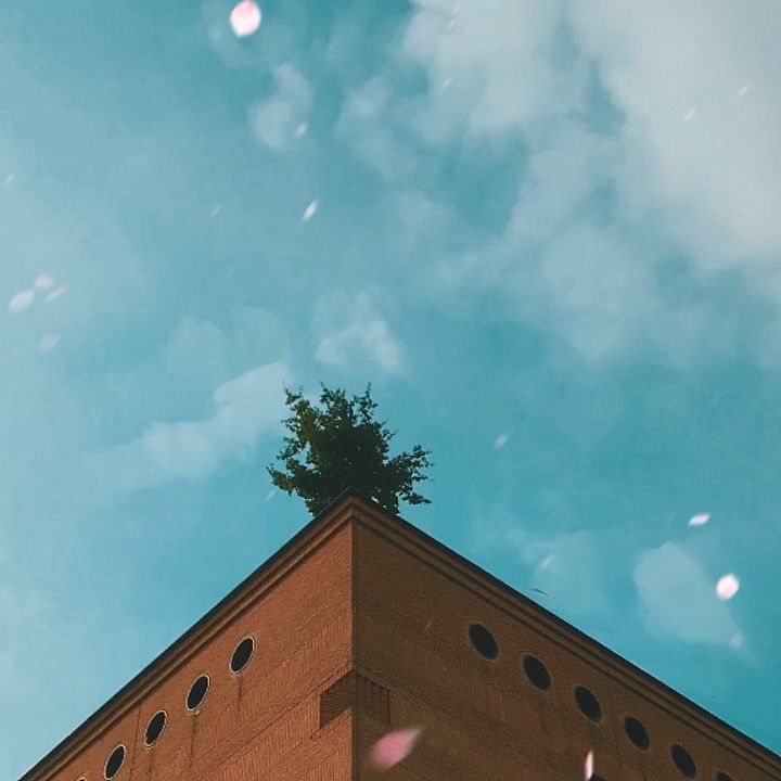 PUdompui's tweet image. ยางลบหัวใจชื่อเสียสละ
เพลง ยางลบหัวใจชื่อเสียสละ ที่Chak Niti Udom Nitaร้องสุดยอดมาก! มาลองฟังกัน! (WeSing, แอปคาราโอเกะออนไลน์ฟรี) wesingapp.com/user/609c9e8c2…