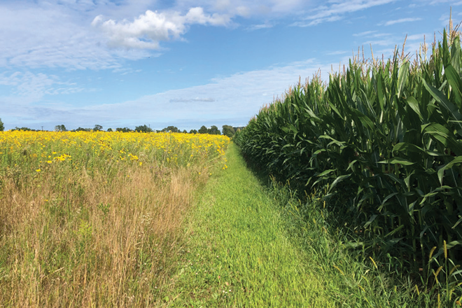 We're excited to launch the third round of our Soil Health and Habitat Program with our friends at Purina.  Initiative now open to landowner applications in North Dakota, South Dakota, Iowa, and Minnesota bit.ly/3ygEoUh w/ <a href="/Purina/">Purina</a> <a href="/ProPlan/">Pro Plan</a> @nodakpf <a href="/SDPheasants/">South Dakota Pheasants Forever</a> <a href="/IowaPFQF/">Pheasants Forever and Quail Forever in Iowa</a>