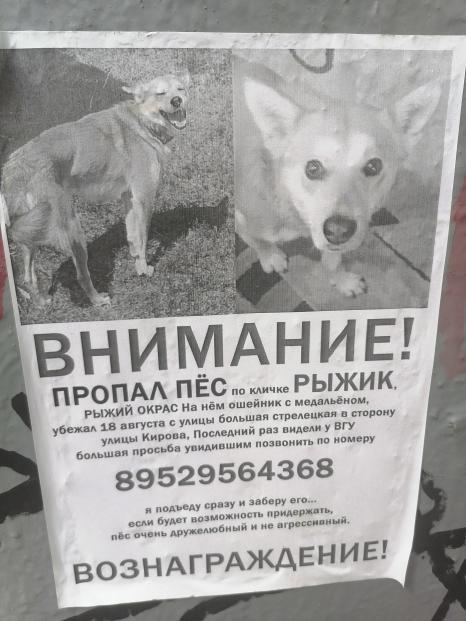 PrinceTheodor's tweet photo. #Воронеж ретвит https://t.co/LwDYEasWGd