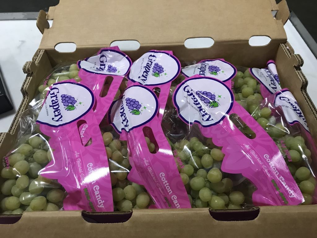 FSProduce's tweet image. Stella Bella” Green Seedless Grapes with outstanding quality and Cotton Candy Grapes with sugary sweetness are in peak season from California!

#grapes #inseason #freshproduce
