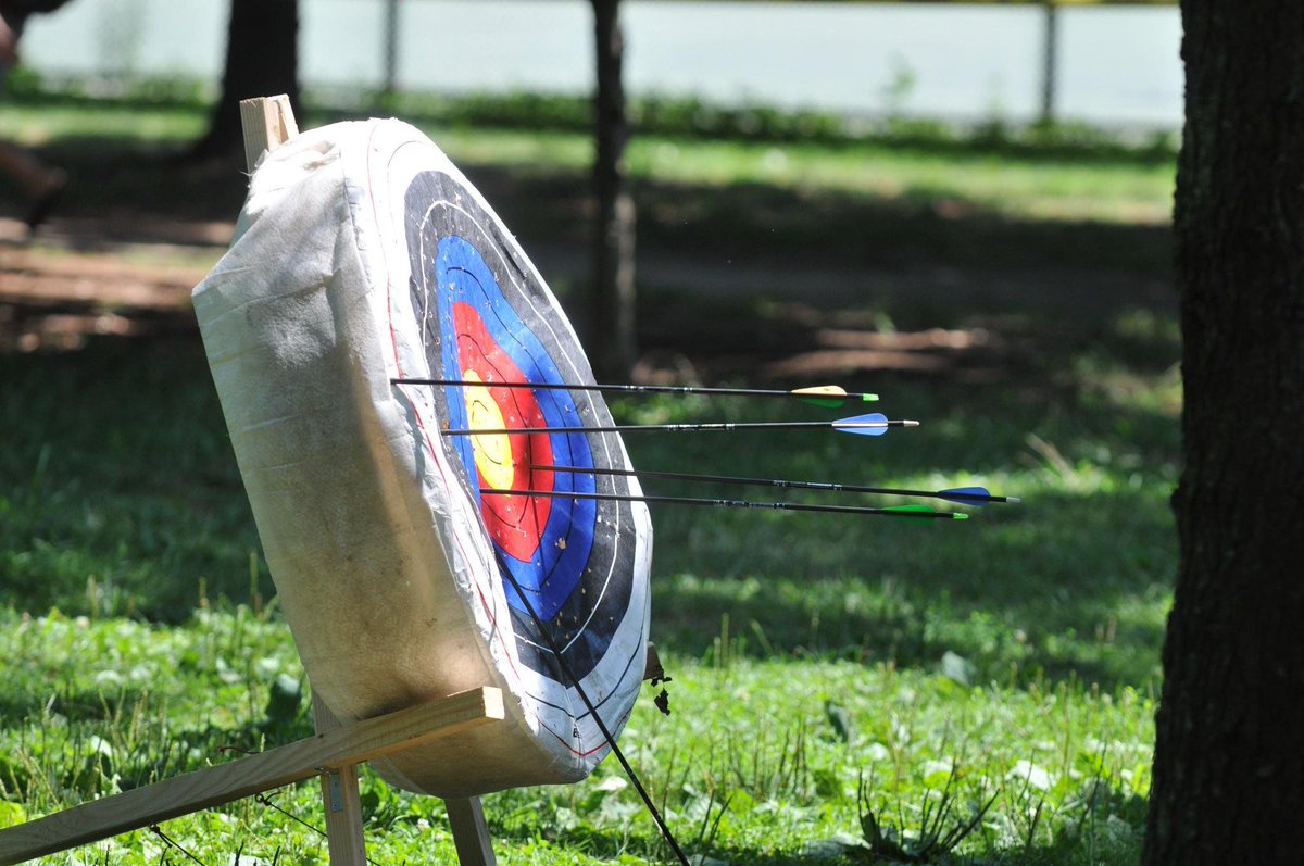 arrows pierce the target pillow set up in the park for practicing archery