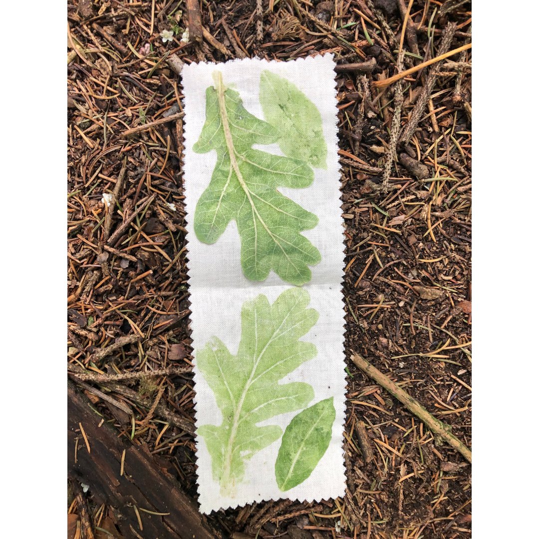 The Team tweet media