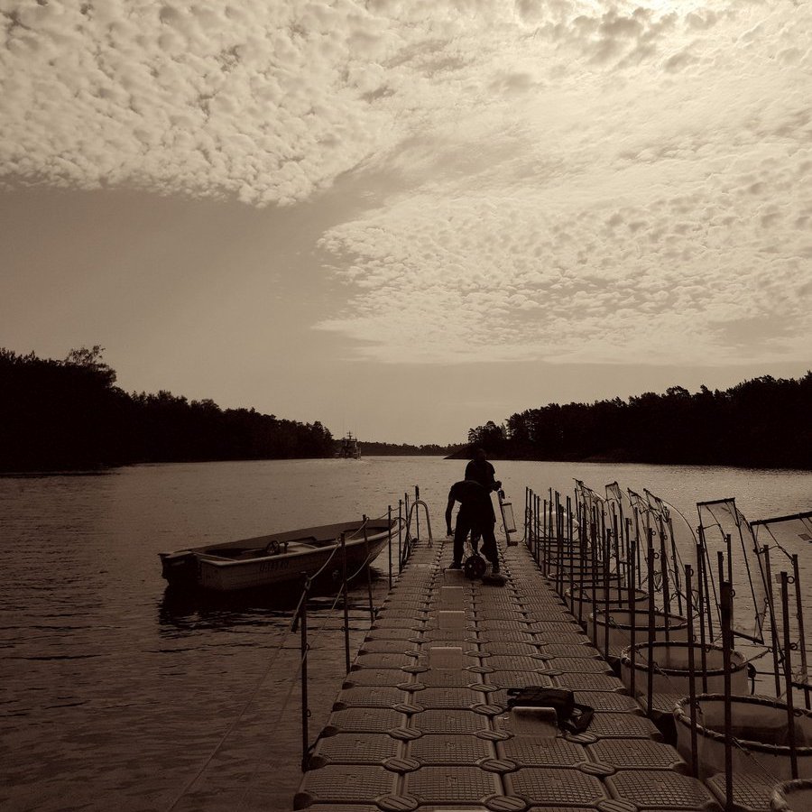 VanharantaMari's tweet photo. Happy Baltic Sea day! This photo was taken during our experiment at @Tvarminne in June when we studied the fate of excess phosphate. Thank you Walter and Andrée de Nottbeck foundation for supporting my research!🌊 #IstudyBalticSea #BalticSeaDay @SYKEint https://t.co/raBc1cj2Zs