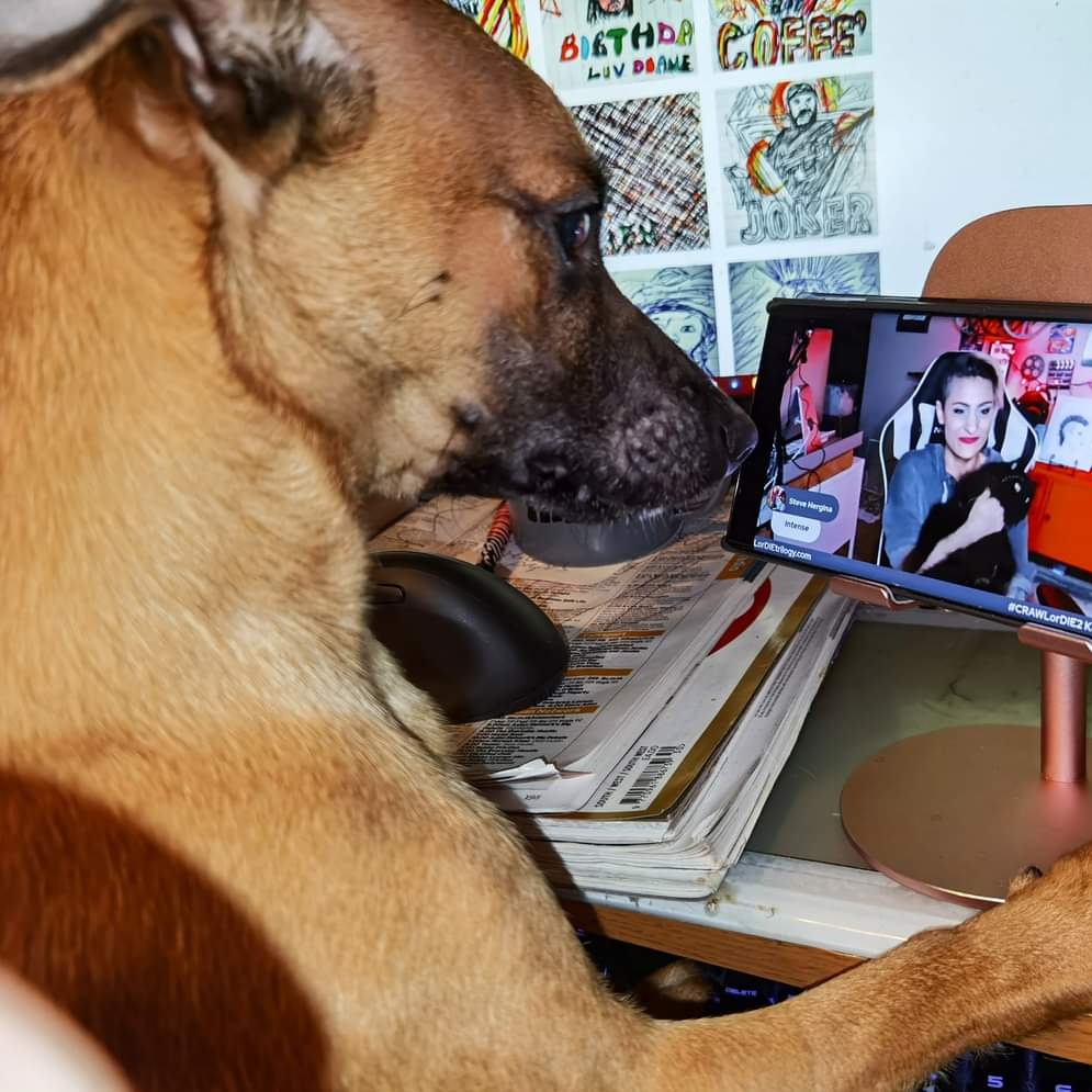 Brassylassy's tweet image. Sergeant Neil Howie is #TANKarmy all the way. 🤩 
#CRAWLorDIE2 #NewProfilePic