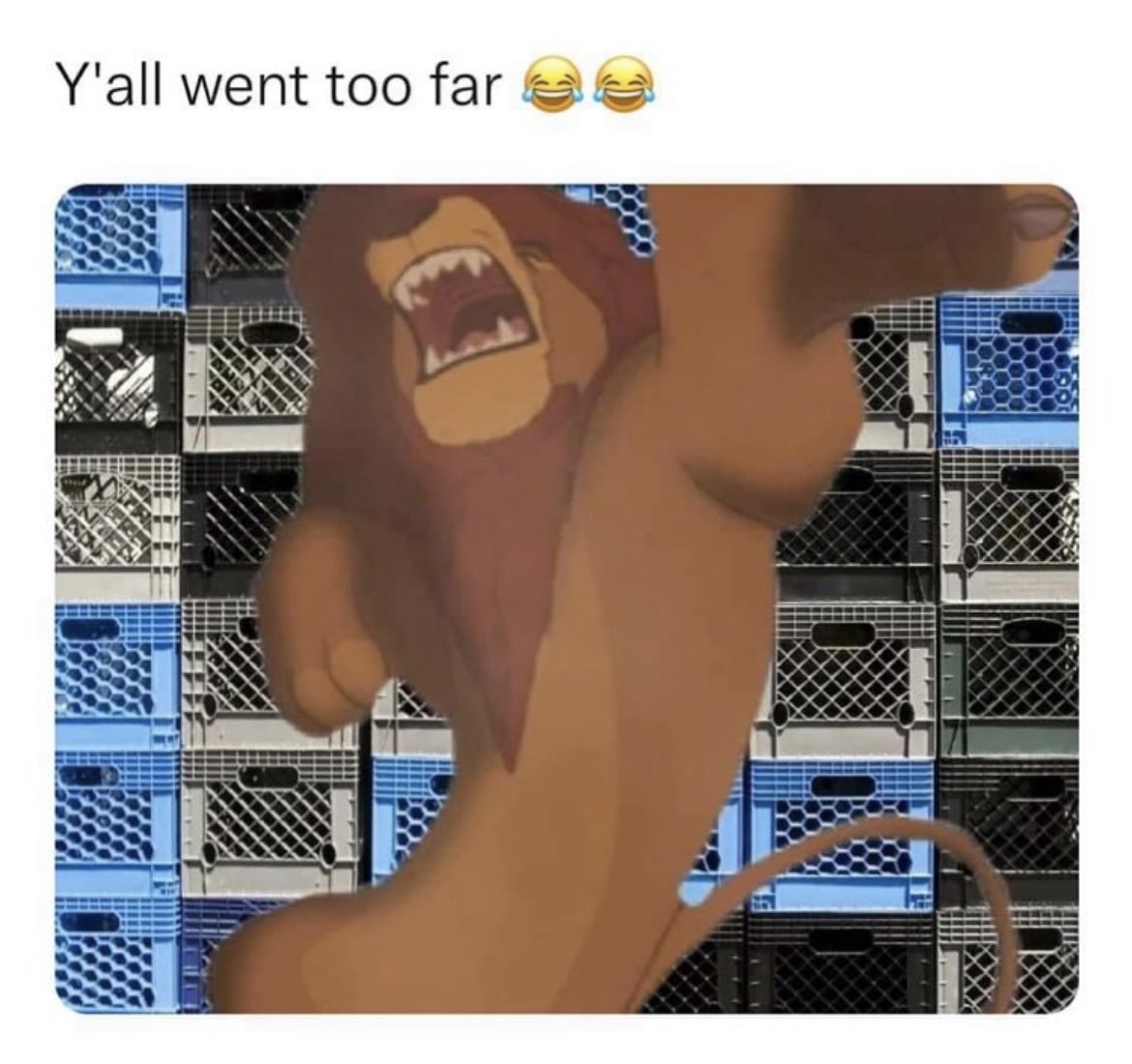 RDBEAR57's tweet image. Cold blooded…..

#crateschallenge