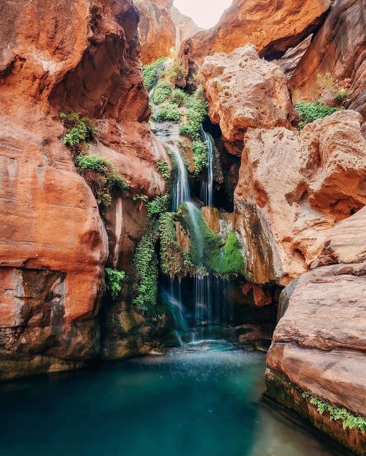 hdpr2016's tweet photo. #lifetoday #flowerpower #waterfalllife #pretty https://t.co/E0dq5LALPo
