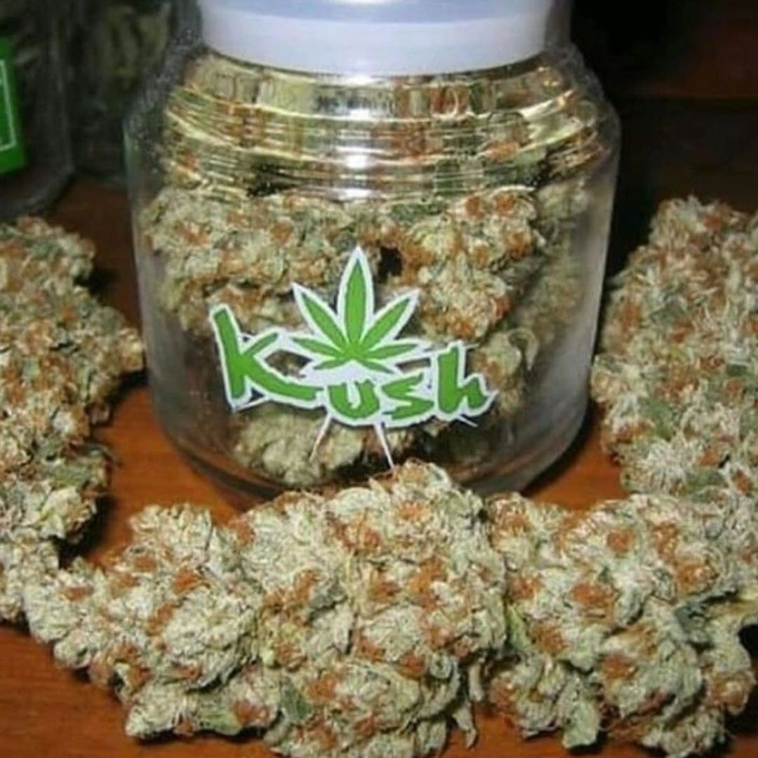 4Growe's tweet image. Let's keep it rolling