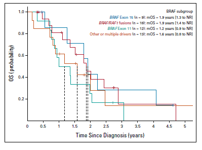 VivekSubbiah's tweet photo. 🚨Hot off the press 👉Analysis of RAF Family Alterations in Pancreatic Cancer: Real-World Outcomes. Kudos to @PanCAN team @EmilyLyons87 @arosenzweig19 @DrHendifar @MPishvaian @kennamshaw et al for the collaboration &amp; perseverance @ASCO_pubs  https://t.co/vmQihZSsyG https://t.co/BSwvUp2zMF