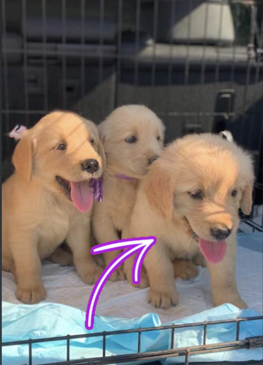 Phil Knutson, PhD ⌬ tweet media