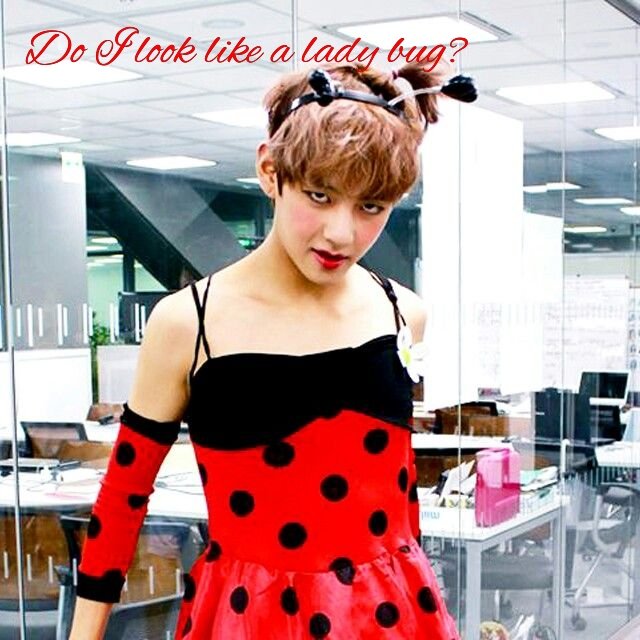 For a fucking laughlol