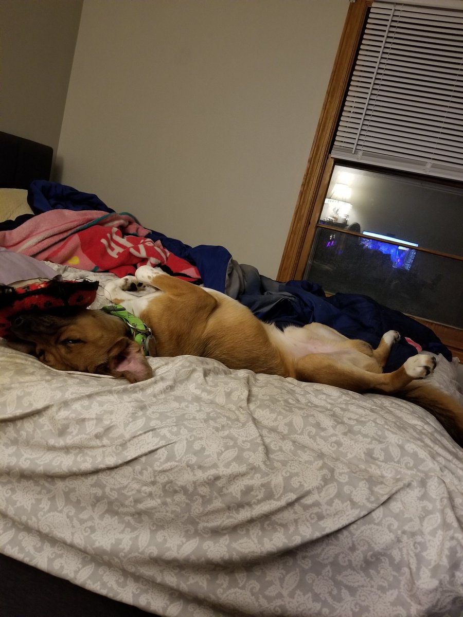 CollierOlson's tweet image. Wish I could play until I pass out