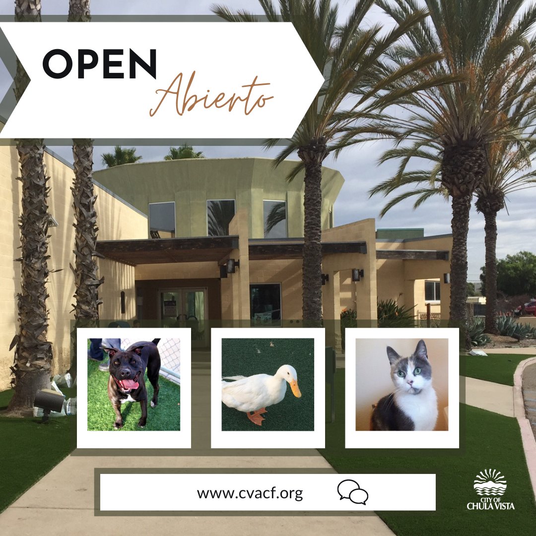 City Of Chula Vista On Twitter We Are Excited To Announce That The Chulavista Animal Care Facility Is Open During Normal Business Hours Stop In And Adopt A Pet Tuesday Friday
