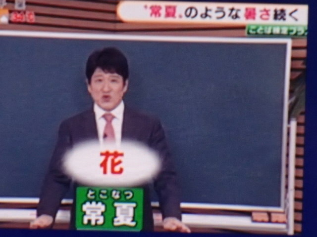 おでこ Kiyukatawani Akisun 2 Renachikonoka Haiq0725 焼肉の部位 韓国語由来なのはどれ タン ハラミ テッチャン サイズの小さい靴 テッチャン でみなさん正解でした シマチョウ 縞腸 とも呼ばれる T Co