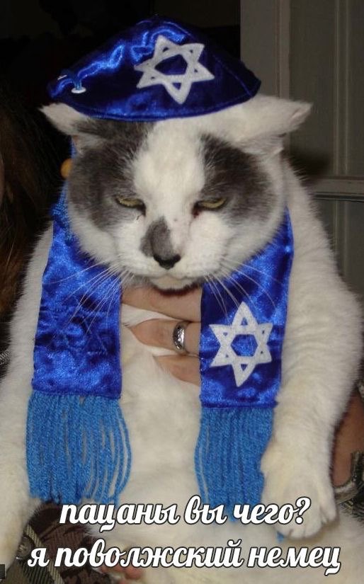 E9q7W2zWYAw-2g9?format=jpg&name=900x900