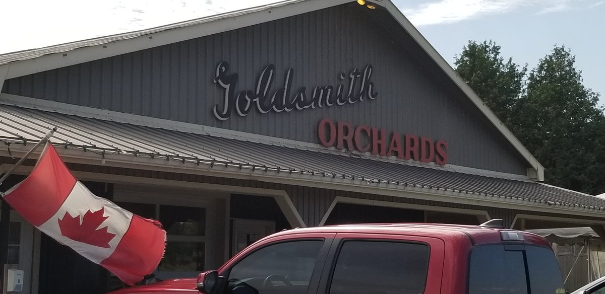 Kelly Hutchinson 🇨🇦 tweet media