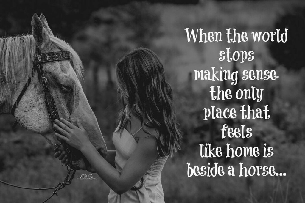 cowboymagic's tweet photo. 🌟Wednesday Wisdom🌟
Photo by @madeyoulookbylyn 
Share your Wednesday Wisdom with us!!

"The world is changing and together we can change it... One random act of kindness at a time!"
.
.
.
.
.
#cowboymagic #equine #equinesofig #equinephotos #horsephoto… https://t.co/Ku1bnSAiPD https://t.co/QdZ4f3PlHG