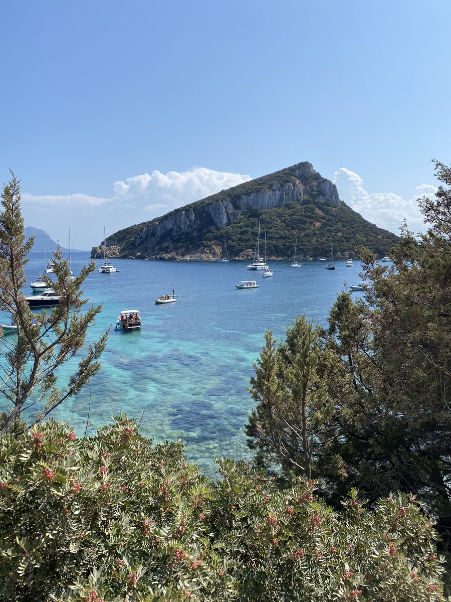 La meravigliosa Cala Moresca a Golfo Aranci, in #Sardegna, utilizzata come set del film #disney “La Sirenetta” che uscirà nel 2022