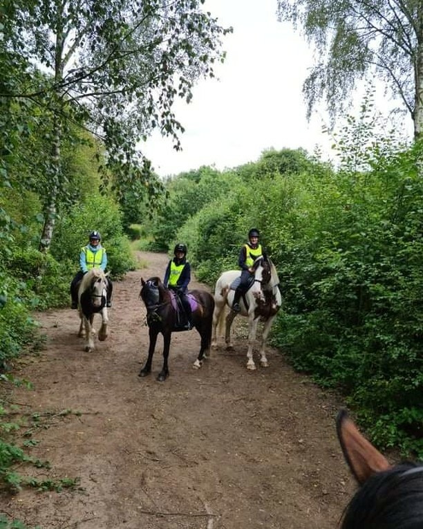 PonyTrek's tweet photo. Out lovely 2 hour ladies this morning, hope you enjoyed the foreging trek 😊 .
.
.
#horseride #horseriders #horseriding #horseback #horsebackriding #horsetrek #horsetrekking #ponytrek #ponytrekking #horsehack #horsehacking #hackingout #trailriding #trailridingadventures #hors… https://t.co/DYLJbqI2qT