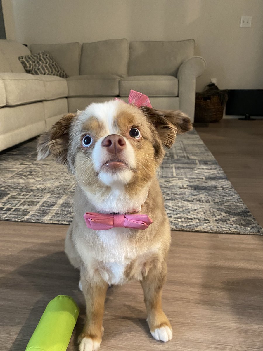 _ACE86_'s tweet image. 