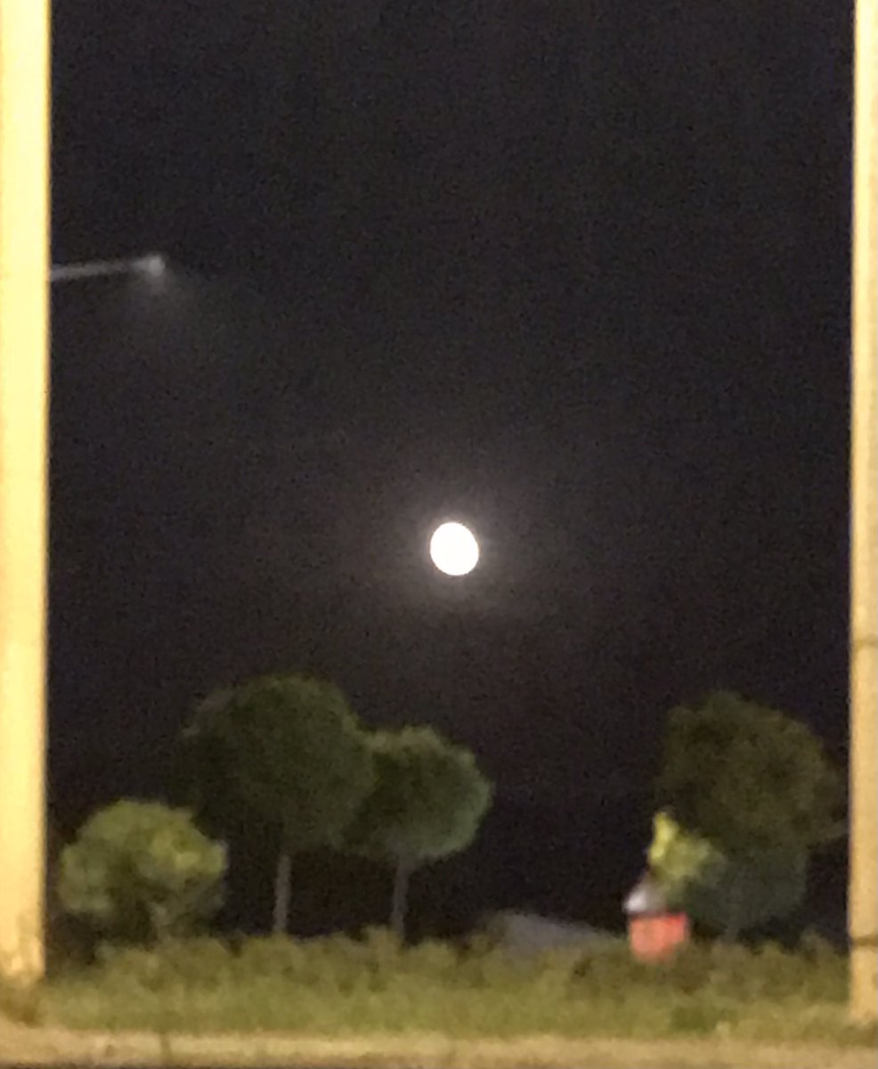 Gördüğüm/ Telefonumda görünen