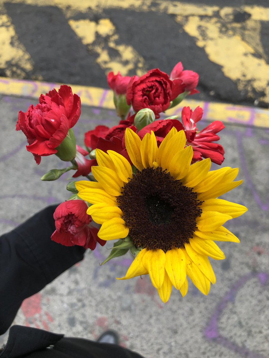 Hoy en aventuras del litigio: 

Un hombre afuera de la fiscalía de justicia regalaba flores a todas las personas que pasábamos por ahí porque pudo encontrar a su hija desaparecida. 🥰