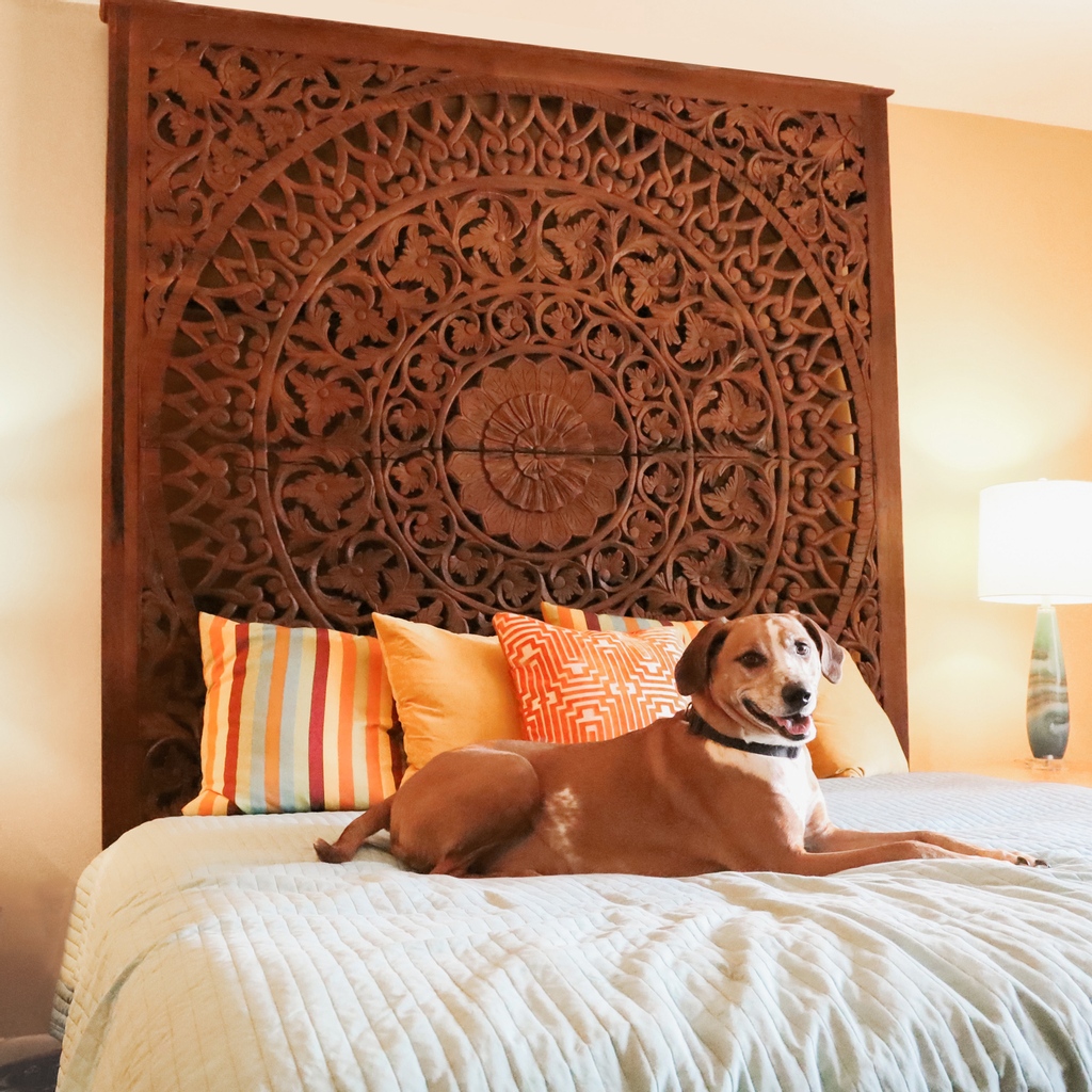 HomeSource_TX's tweet image. Slow your scroll and take a look at this paw-sitively showstopping bed! The Sumatra is 100% hand-carved and hand-finished. Who needs a bedroom refresh? ✨

#interiordesigndetails #interiordesigninspo #houstondesign #houstonhomes #houstoninteriors #luxehome #furnitureinspo
