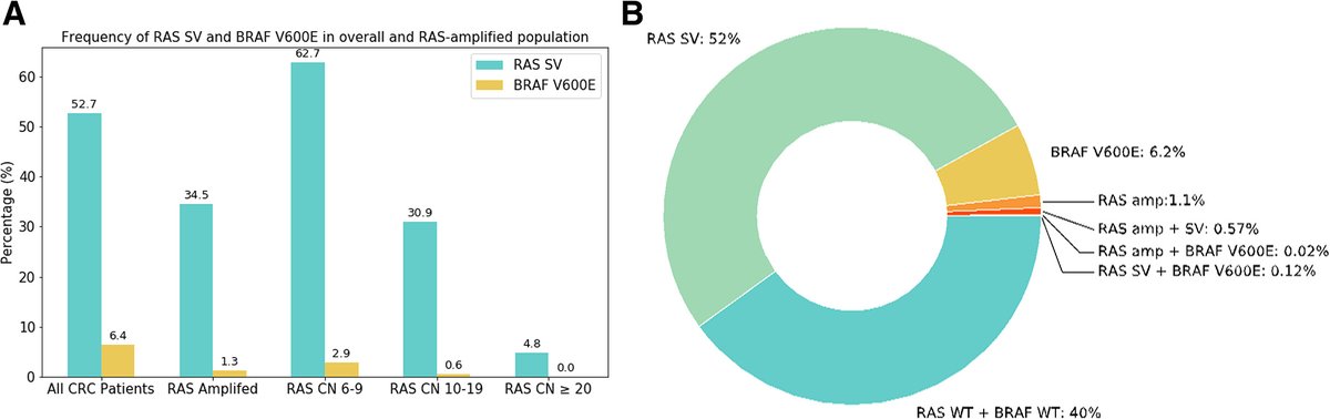 OncJournal's tweet photo. RAS Amplification as a Negative Predictor of Benefit from Anti‐EGFR–Containing Therapy Regimens in Metastatic Colorectal Cancer
#RASAmplification #CopyNumber #EGFRAntibody #GenomicProfiling #ColorectalCancer #mCRC #CRC
https://t.co/Q5RYn6xRpu https://t.co/7oDv7hd5CA