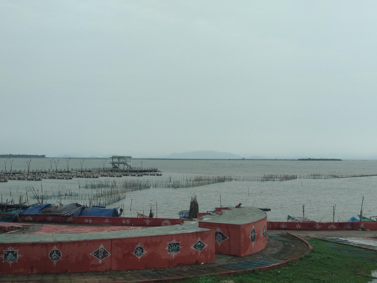 V2V Global Partnership (@v2vpartnership) on Twitter photo Check out this 📷 of the week taken in #Satapada, #Chilika, #India 🌊 Stake nets are the most frequently used fishing gear for the traditional fishing technique in the outer channel of Chilika Lagoon 🐟 Photo credit: <a href="/aishwarya0922/">Aishwarya Pattanaik</a>, 2019. Read more here: v2vglobalpartnership.org/photo-of-the-w… Check out this 📷 of the week taken in #Satapada, #Chilika, #India 🌊 Stake nets are the most frequently used fishing gear for the traditional fishing technique in the outer channel of Chilika Lagoon 🐟 Photo credit: <a href="/aishwarya0922/">Aishwarya Pattanaik</a>, 2019. Read more here: v2vglobalpartnership.org/photo-of-the-w…