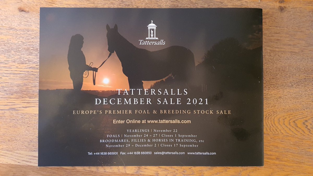 EquuisImages's tweet image. Ever so slightly in love with my images in the @Tattersalls1766 December Sale brochure.