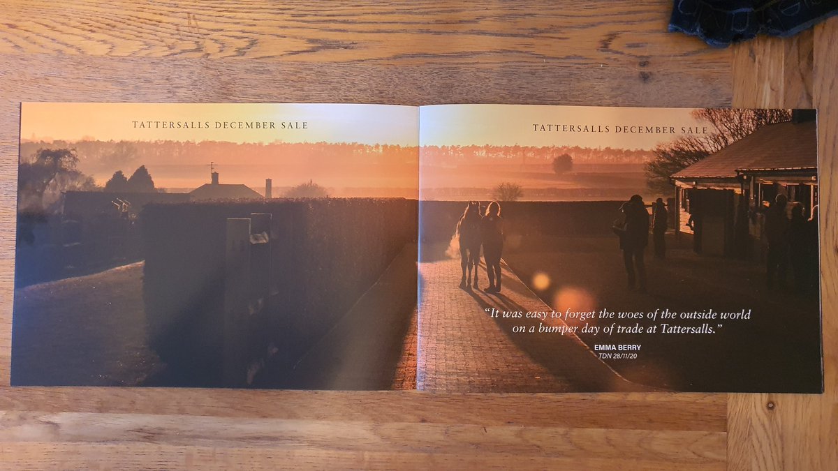 EquuisImages's tweet image. Ever so slightly in love with my images in the @Tattersalls1766 December Sale brochure.