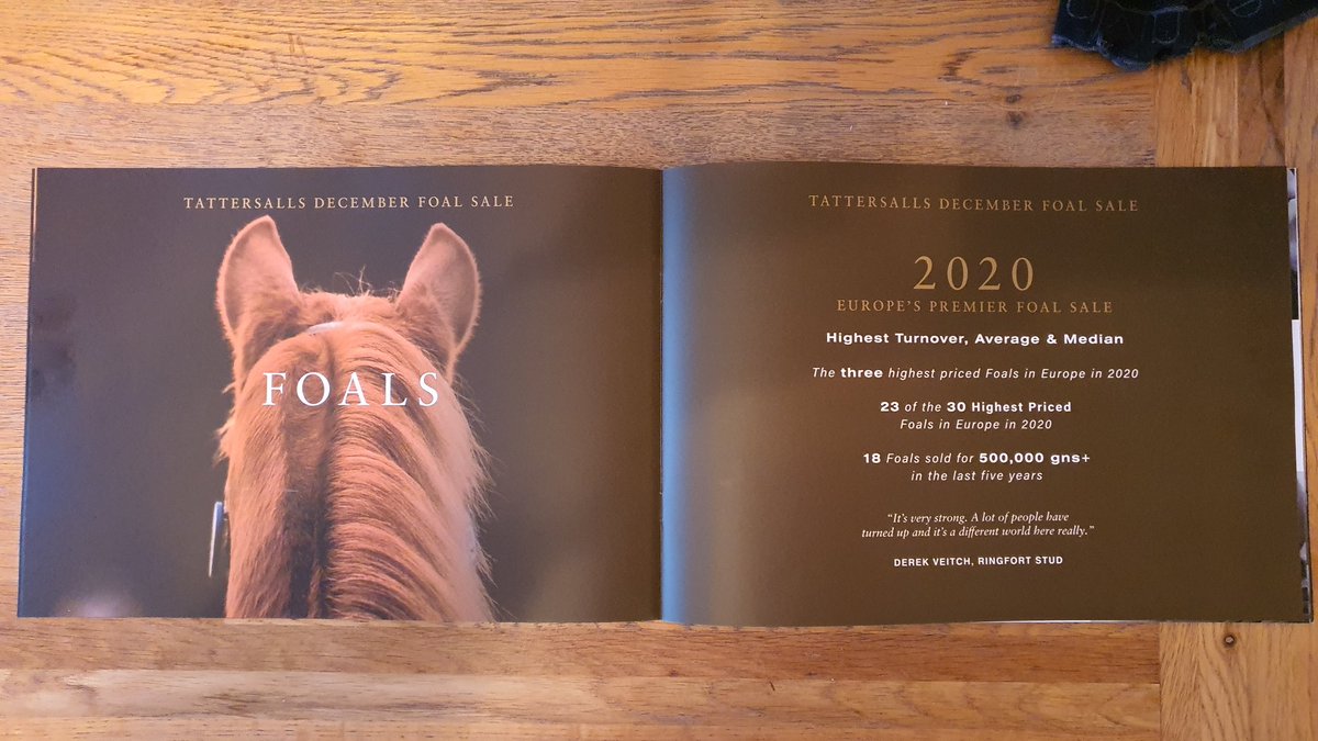 EquuisImages's tweet image. Ever so slightly in love with my images in the @Tattersalls1766 December Sale brochure.