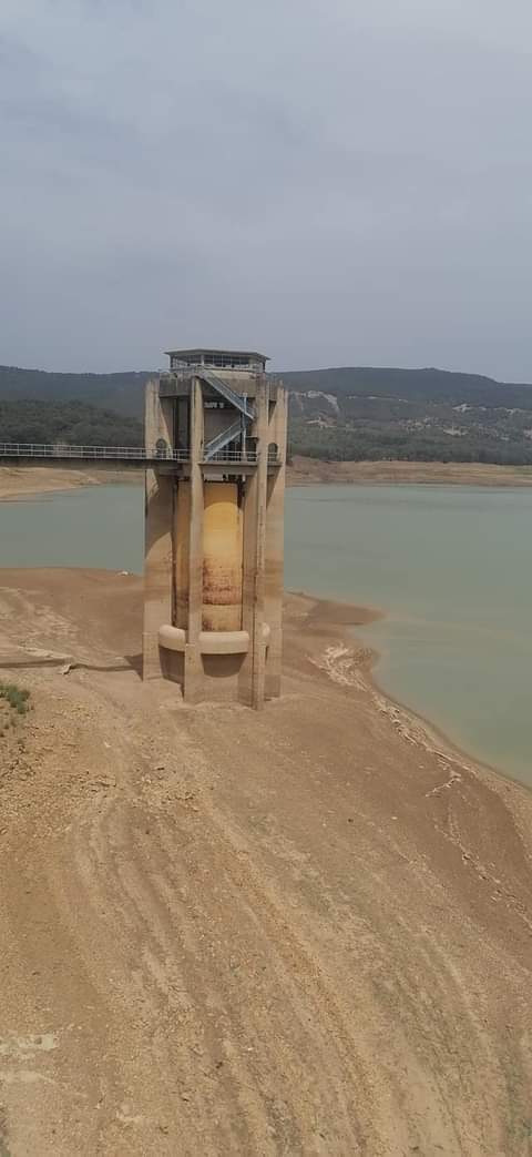fao52's tweet photo. #Tunisie effet de la #secheresse 
Horribles images du barrage de béni mtir,l'une des régions les plus pluvieuses(1500mm/an)
Avant.                                           Aujourd'hui https://t.co/pXs4KnWxHj