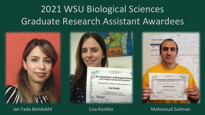 Congratulations to Jana <a href="/Bjbiologist/">Behdokht</a> of the <a href="/GuLabWSU/">Gu Virology Lab @ Wayne State University</a> lab, Lisa <a href="/KoshkoLisa/">Lisa Koshko</a> of the <a href="/sadagurski/">Sadagurski lab</a>   &amp; Mahmoud of the Greenberg lab as recipients of the 2021 Graduate Research Assistant award for their exceptional work in research this past year! Fantastic contributions by all!🥳🎉👏