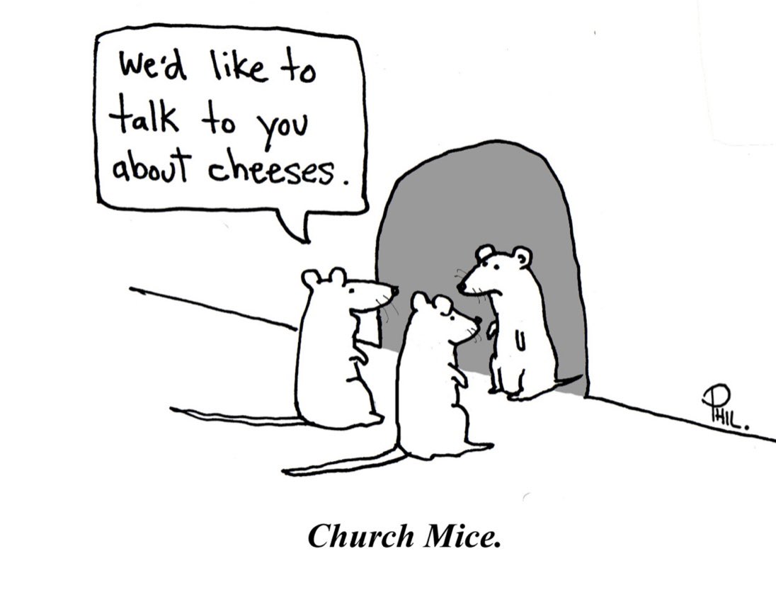 sequatcheese's tweet image. 