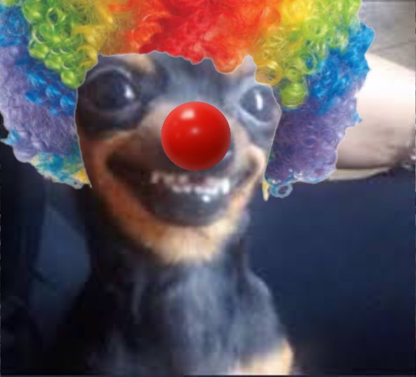 Зображення