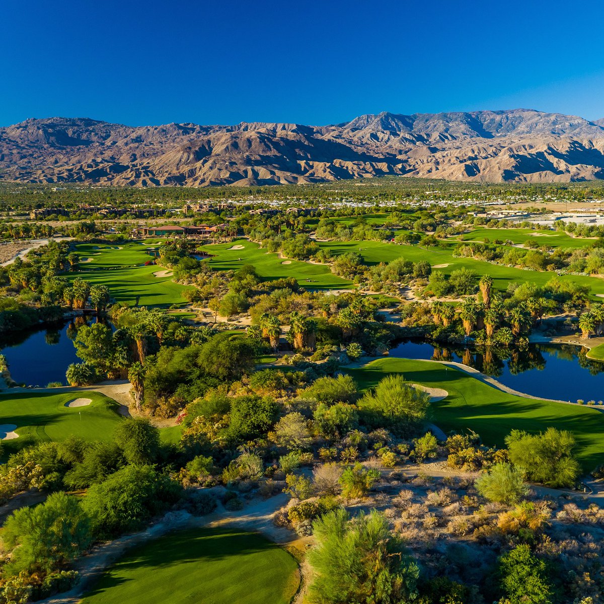golfDWGR's tweet image. LOWEST AVAILABLE RATES. 
Platinum Club cardholders always pay the lowest available rate at our TWO championship courses, Firecliff and Mountain View. Invest in Platinum today to start saving some serious green! 
desertwillow.com/Platinum 
#playdesertwillow