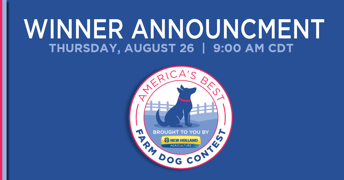 See who is top dog!

We're announcing the winner of America's Best Farm Dog Contest, by @NewHollandAG at 9:00 am tomorrow at New Holland's Booth in the #FJFieldDays Online Platform.

Make sure to tune in: loom.ly/M3h2zCk