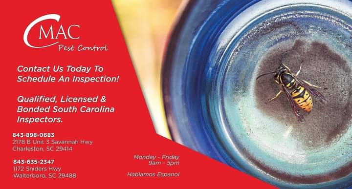 CmacPest's tweet image. 