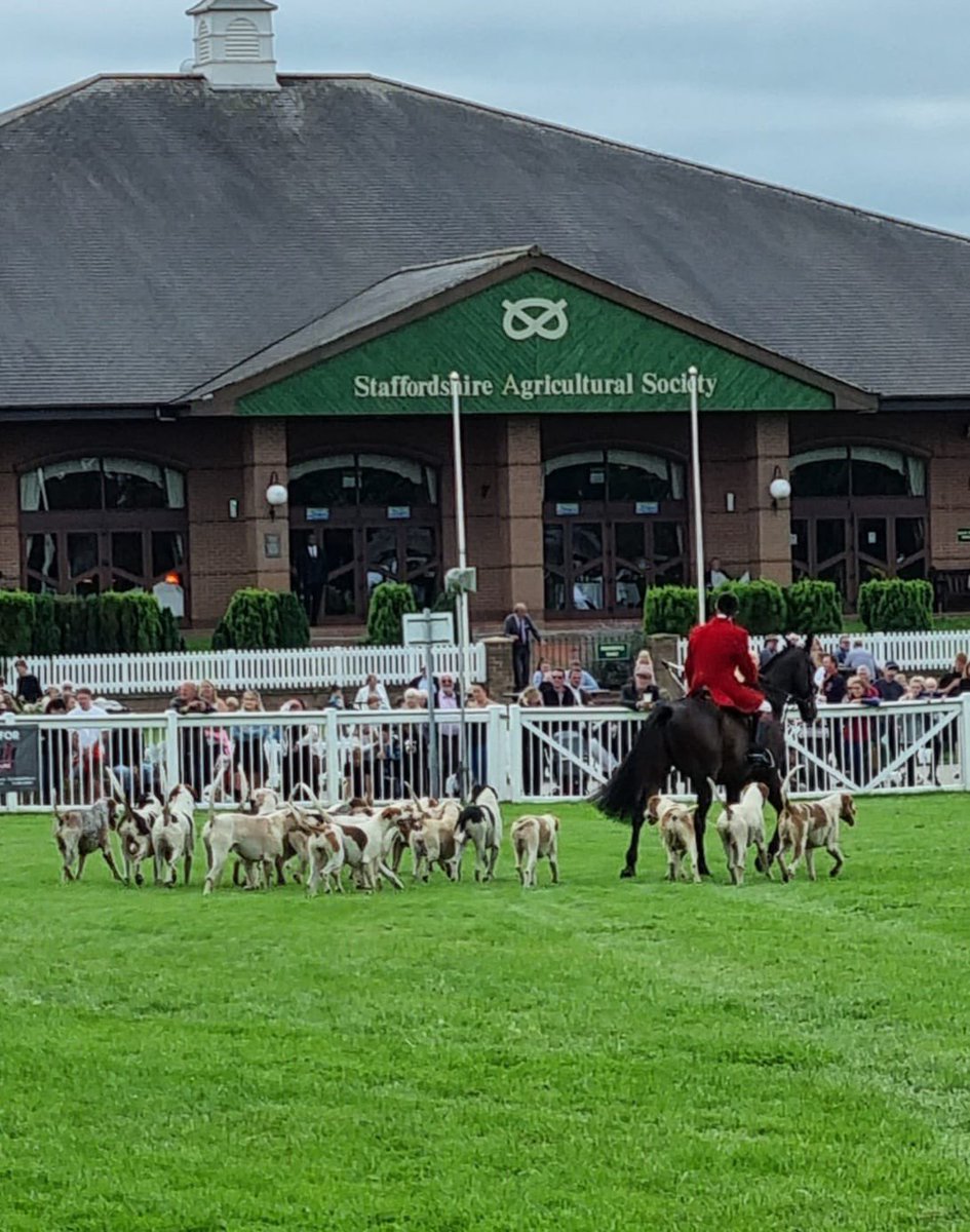spunk75's tweet image. Parading at Staffordshire county show. Hounds mostly behaved impeccably except old Bronwen who decided to join a family picnic 🤣🤣