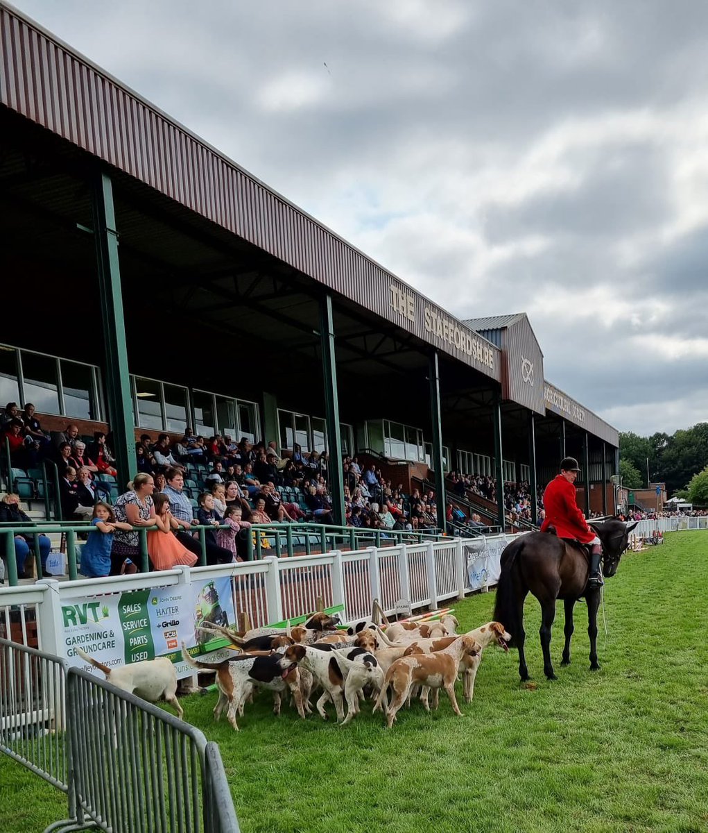 spunk75's tweet image. Parading at Staffordshire county show. Hounds mostly behaved impeccably except old Bronwen who decided to join a family picnic 🤣🤣
